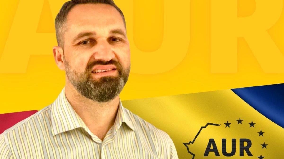 mihai arnautu document demintari aur