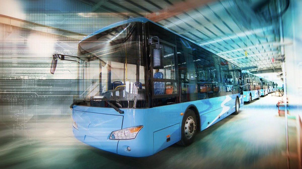 ce trebuie sa verifici firme de transport persoane