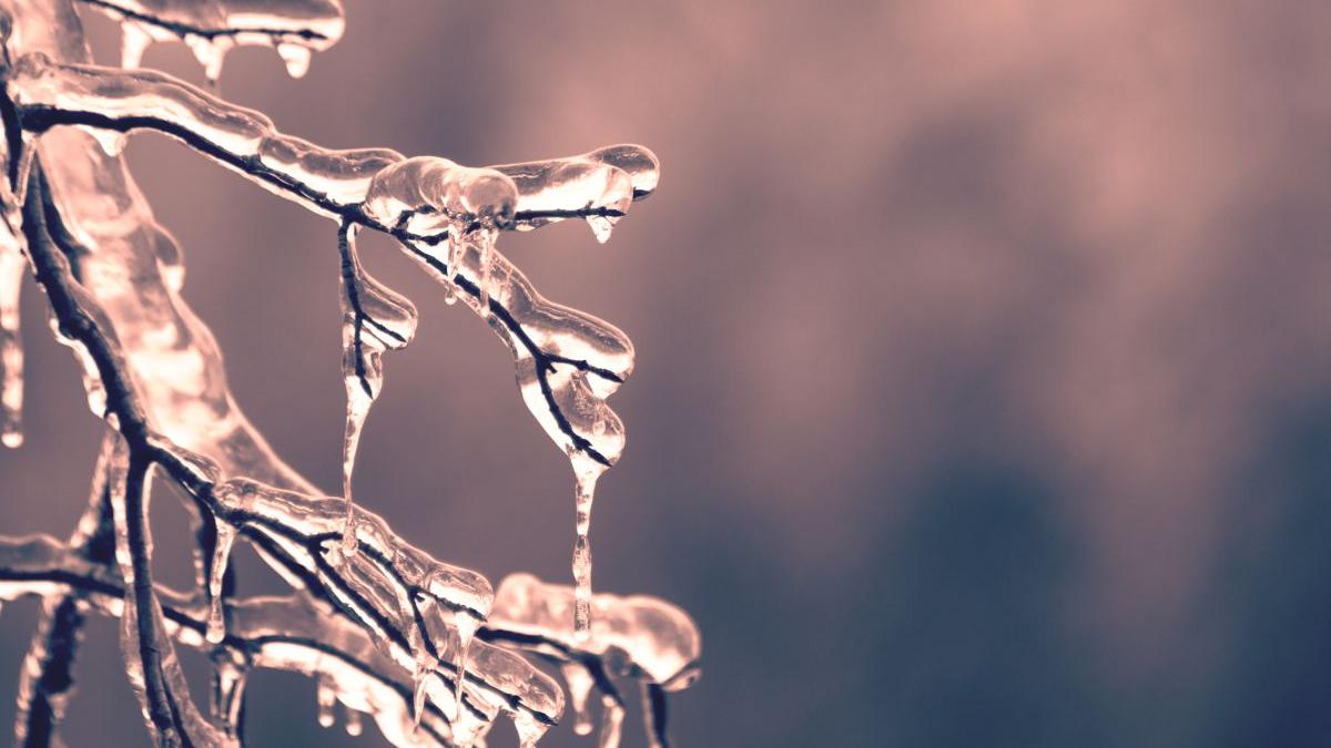 vremea 15 februarie 15 martie prognoza meteo anm