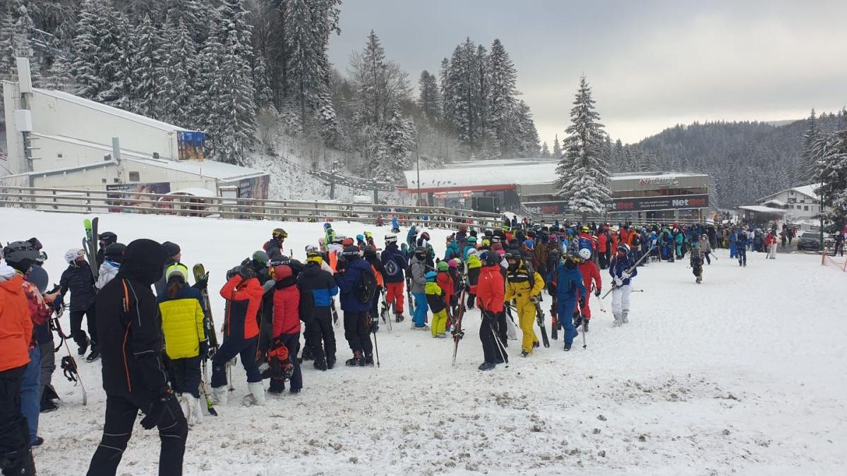 ger poiana brasov coada mare telegondola