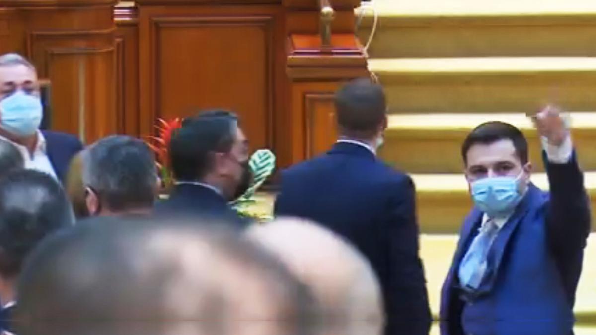 scandal parlament huiduieli vlad voiculescu psd alfred simonis cristina pruna