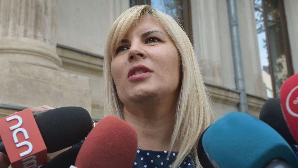 elena udrea ioana basescu decizie amanata