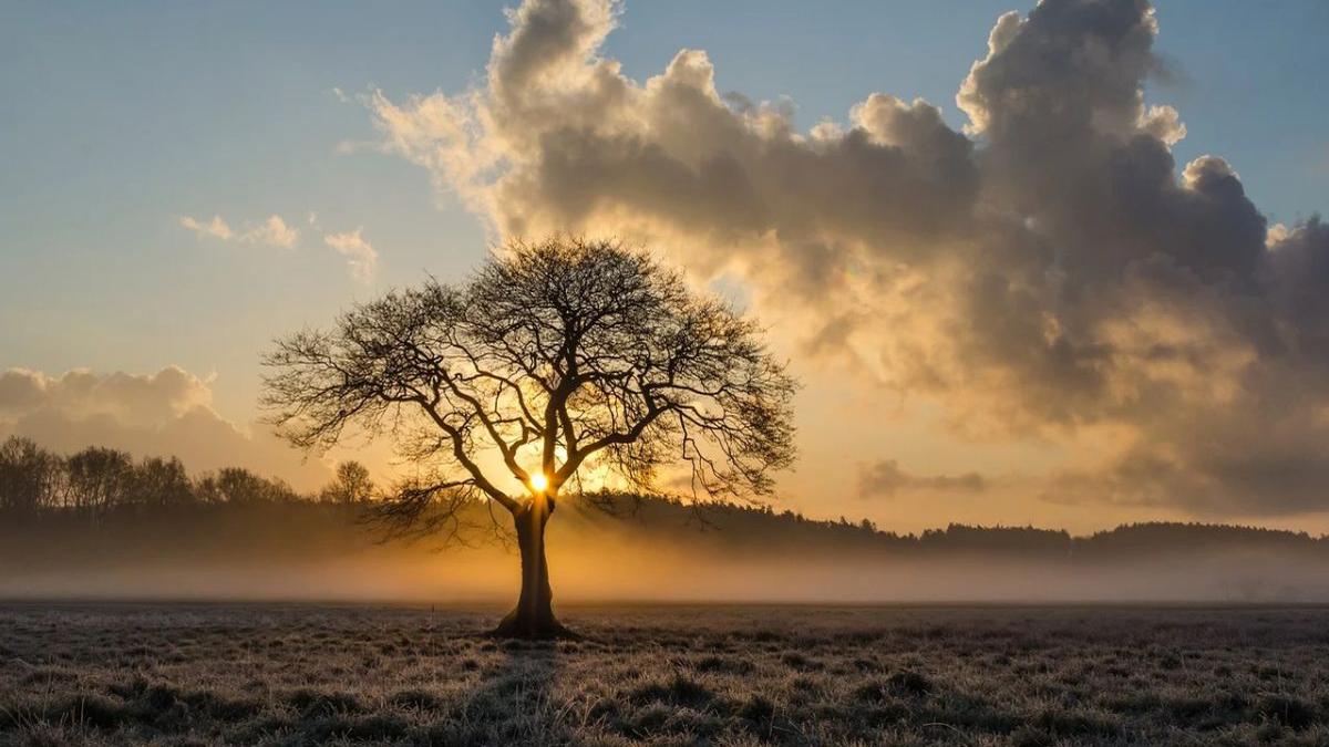 prognoza meteo 15 februarie 15 martie 2021 vreme schimbatoare