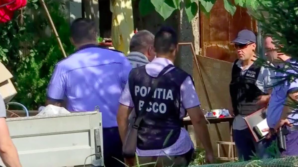 audiati primii martori dosarul caracal luiza era fata cuminte