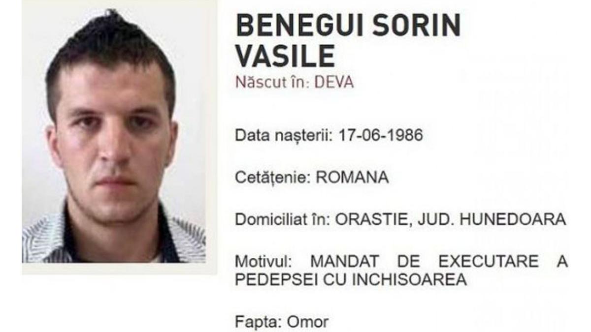 criminal prins hunedoara vasile sorin benegui