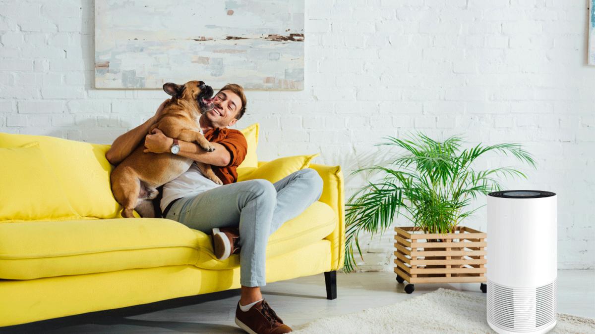 cinci solutii simple pentru o locuinta mai ecologica in noul an