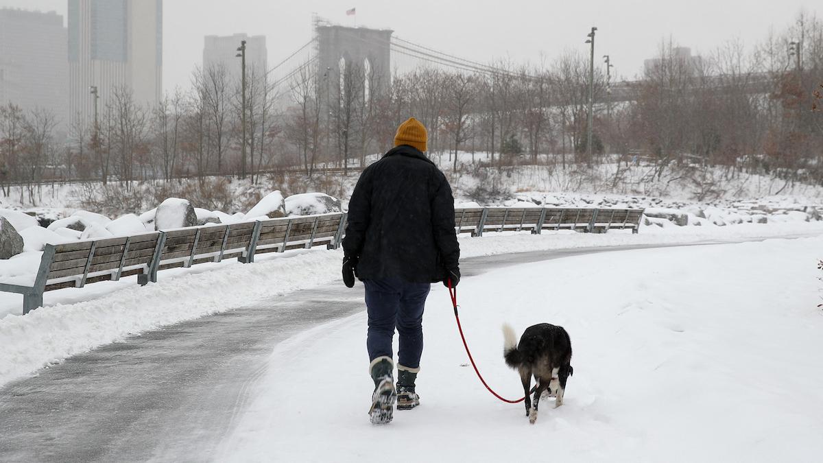 ninsori lapovita vineri bucuresti