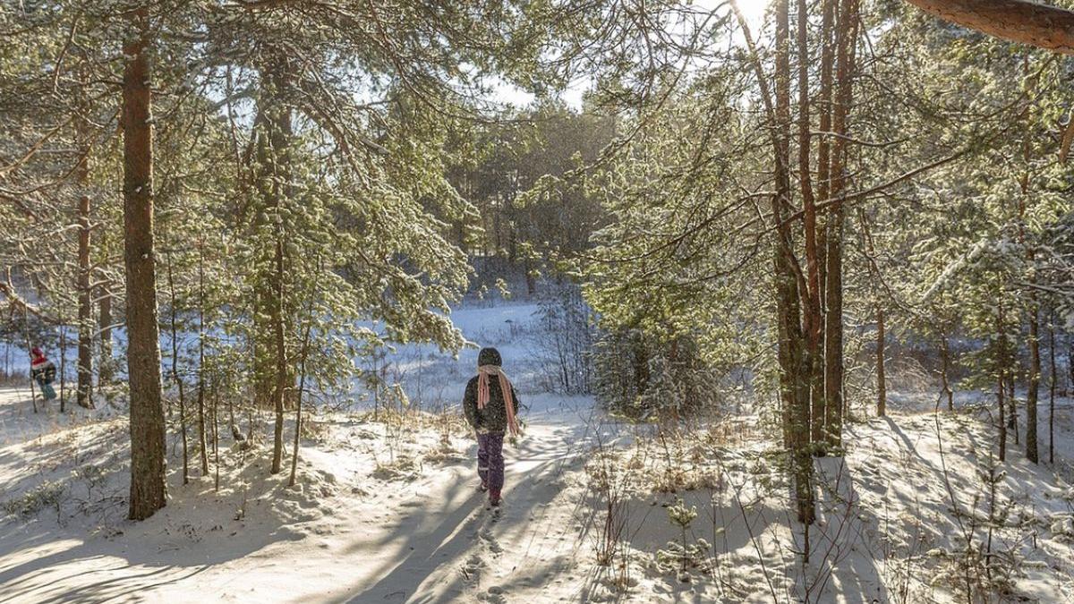 copil disparut joaca tulcea