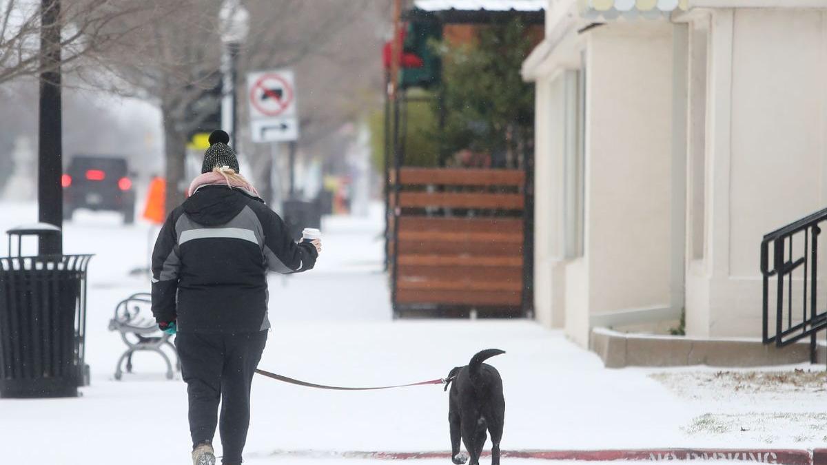 iarna dezastru major texas