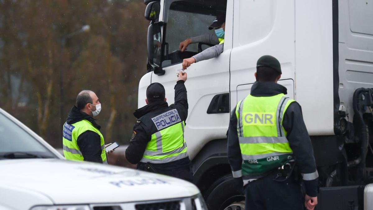 sofer roman tir paguba patron