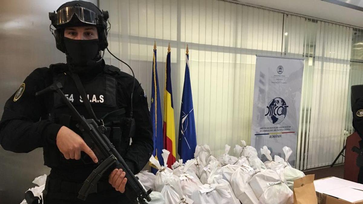 cartel mafie mexic extradat droguri