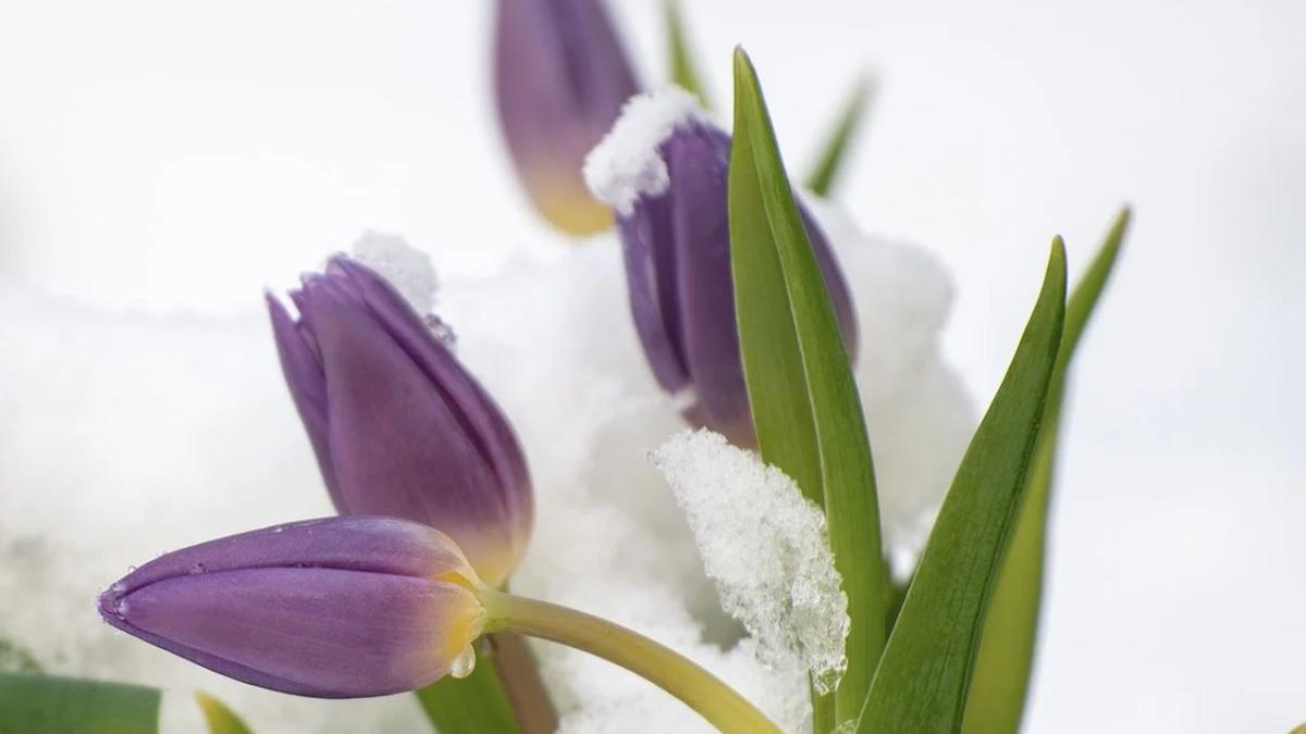 vremea prognoza meteo 22 februarie 2021