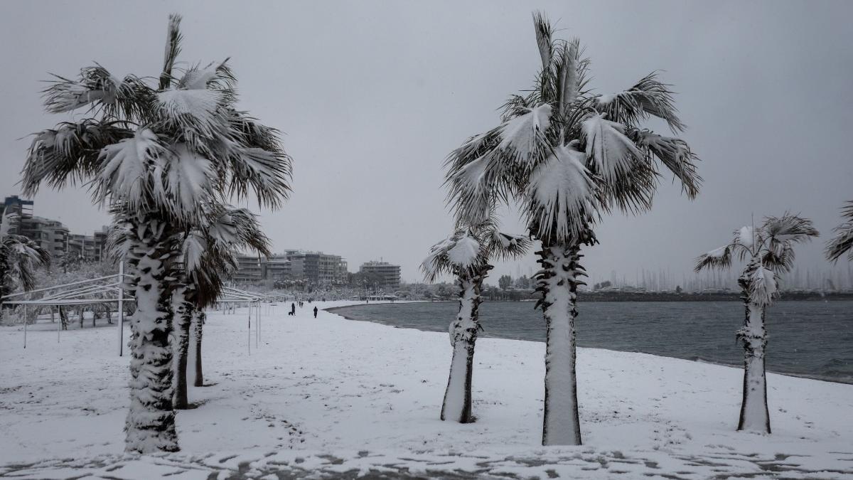 comisia europeana noa strategie privind adapatarea la schimbarile climatice