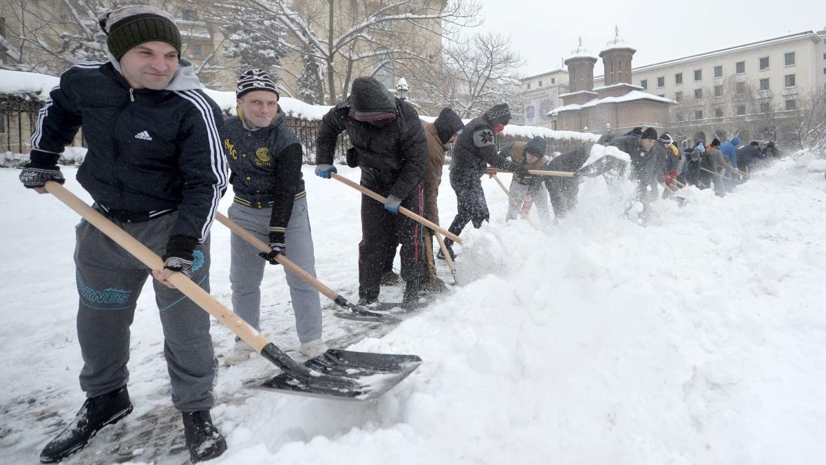 exclusiv detinuti covid infectati