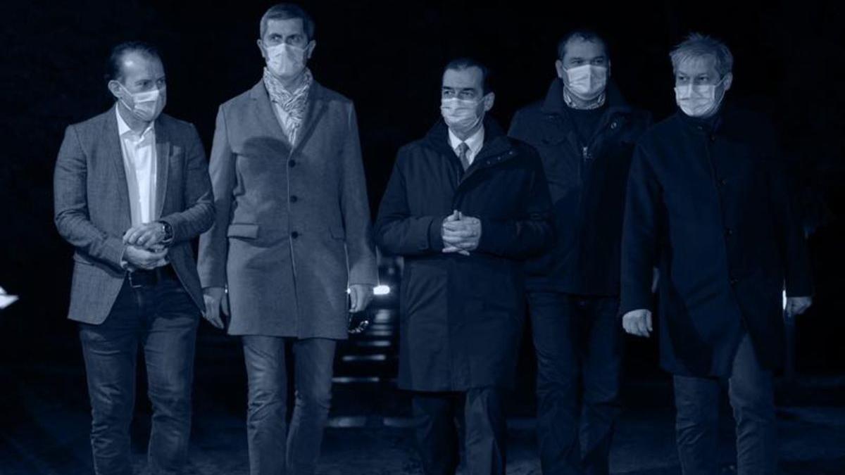 florin citu reforma pnl consilii de administratie