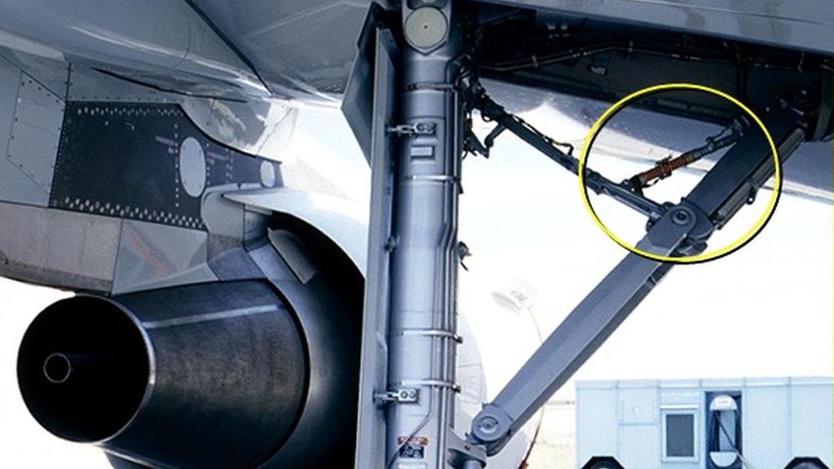 avion pasari impact hurghada cluj napoca