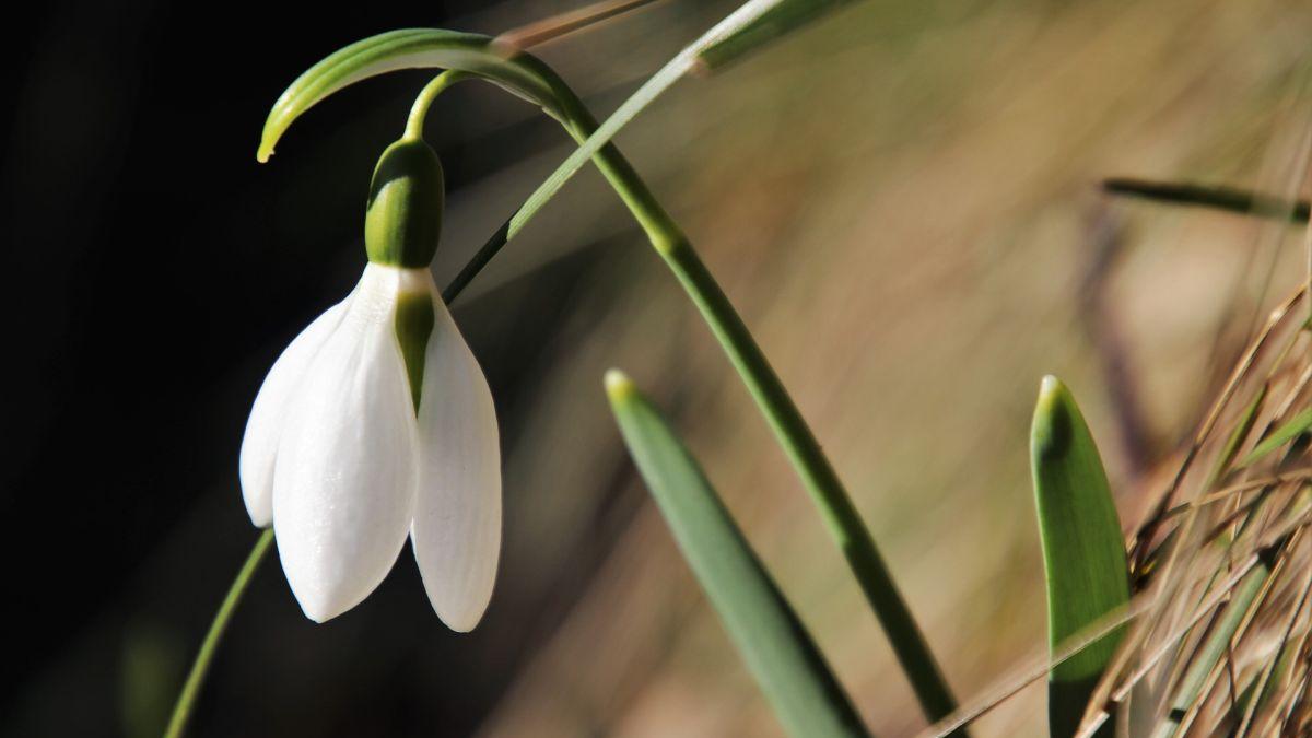 vremea prognoza meteo martie