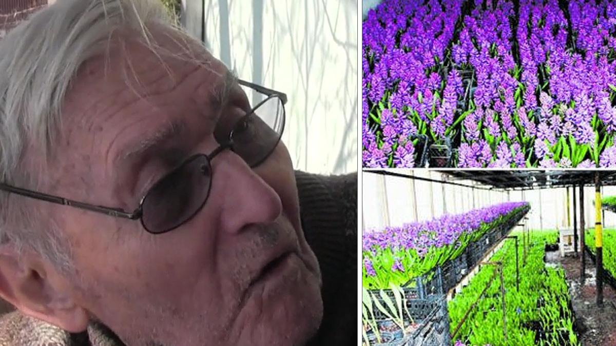 cel mai batran florar din europa traieste in arad