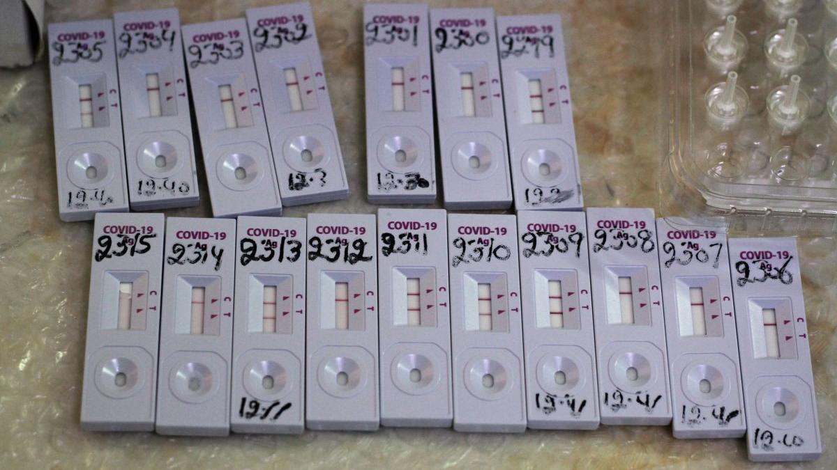 date studiu teste rt pcr covid 19