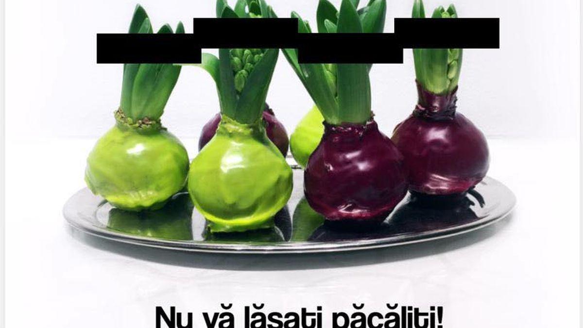 mesaj sri martisor cepe pe post de flori