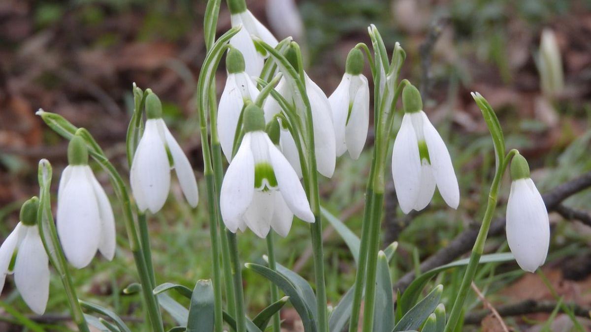 prognoza meteo 2 martie 2021