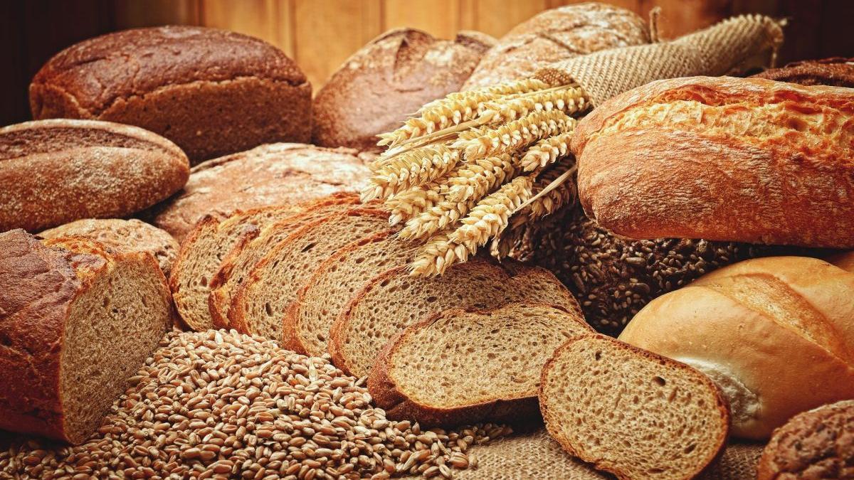 mihaela bilic paine integrala maia