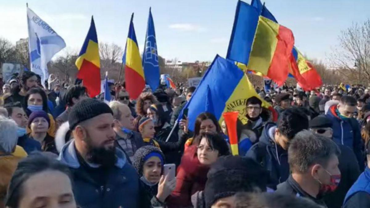 amenzi protest antivaccin 7 martie palatul parlamentului
