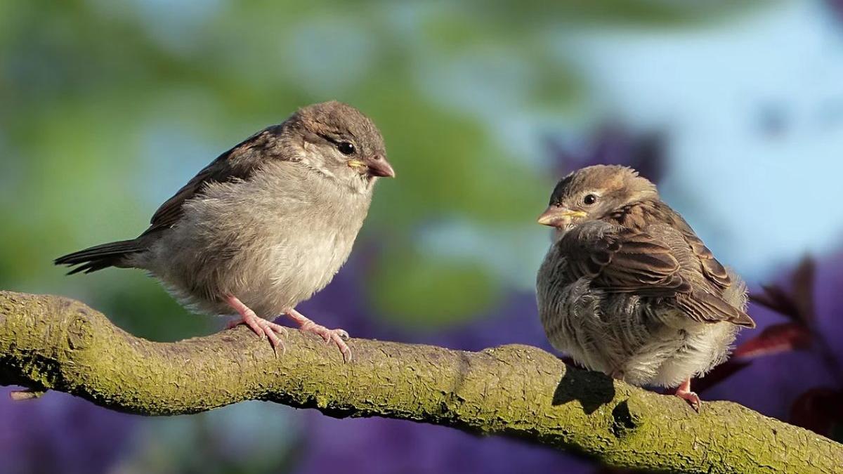 prognoza meteo 8 martie 2021