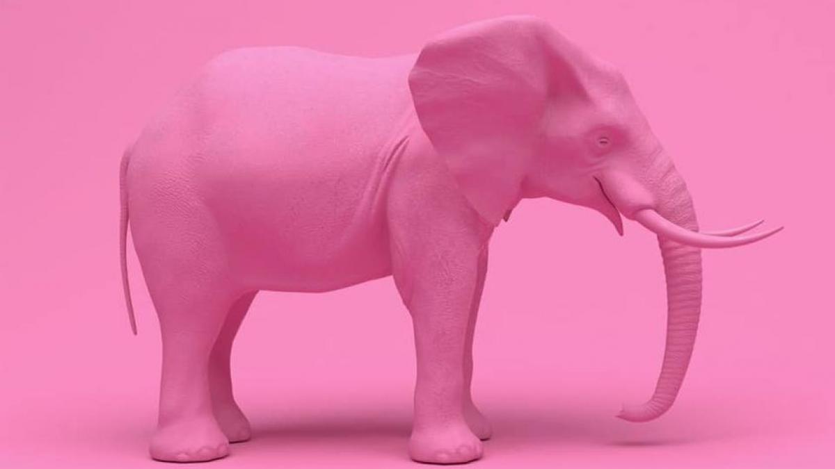 sri mesaj ziua femeii 8 martie gafa