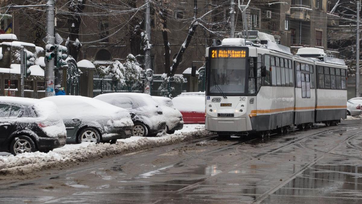 cod galben ninsoare romania bucuresti