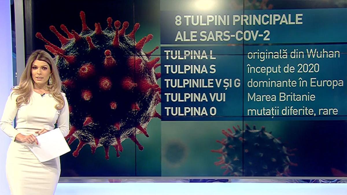 tulpini covid 19 romania vaccin