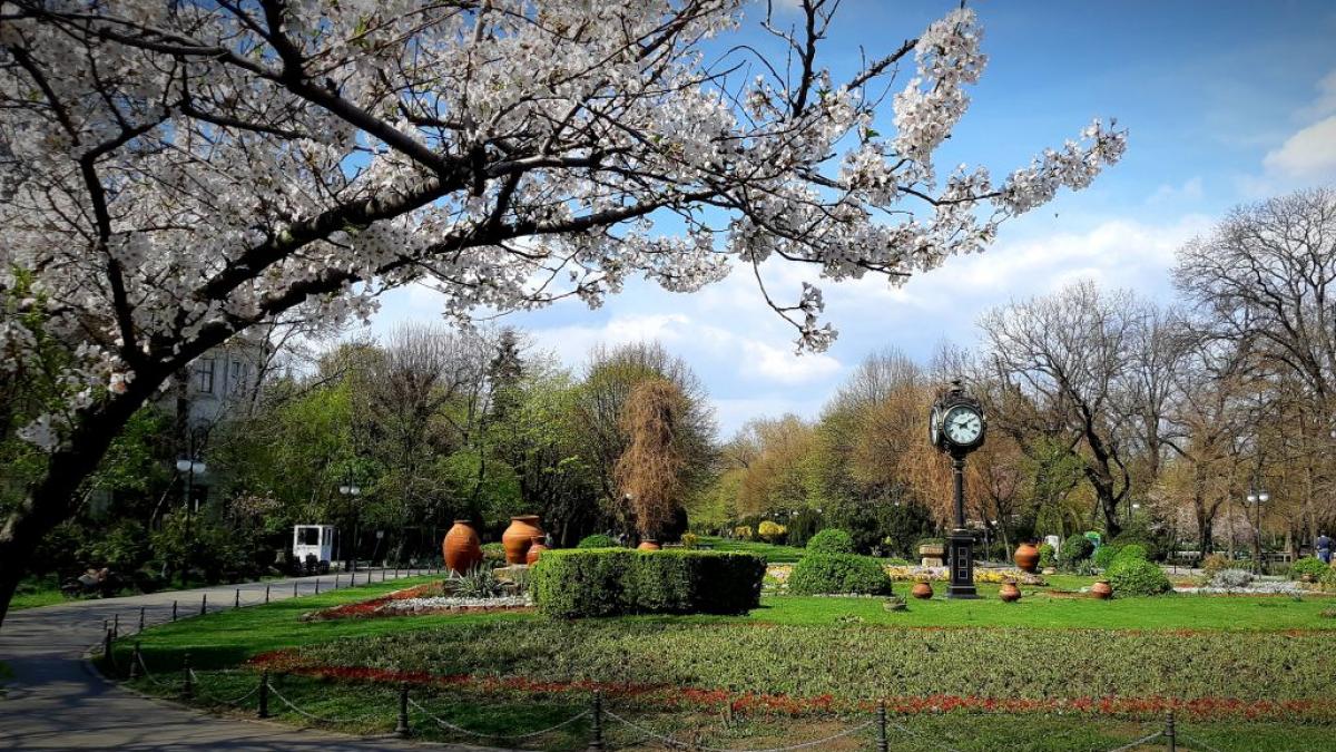 vremea prognoza meteo martie