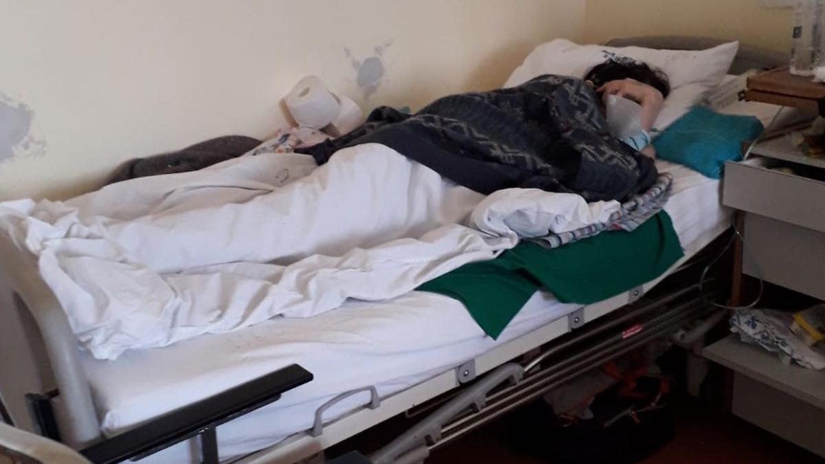 batrani spital arad frig