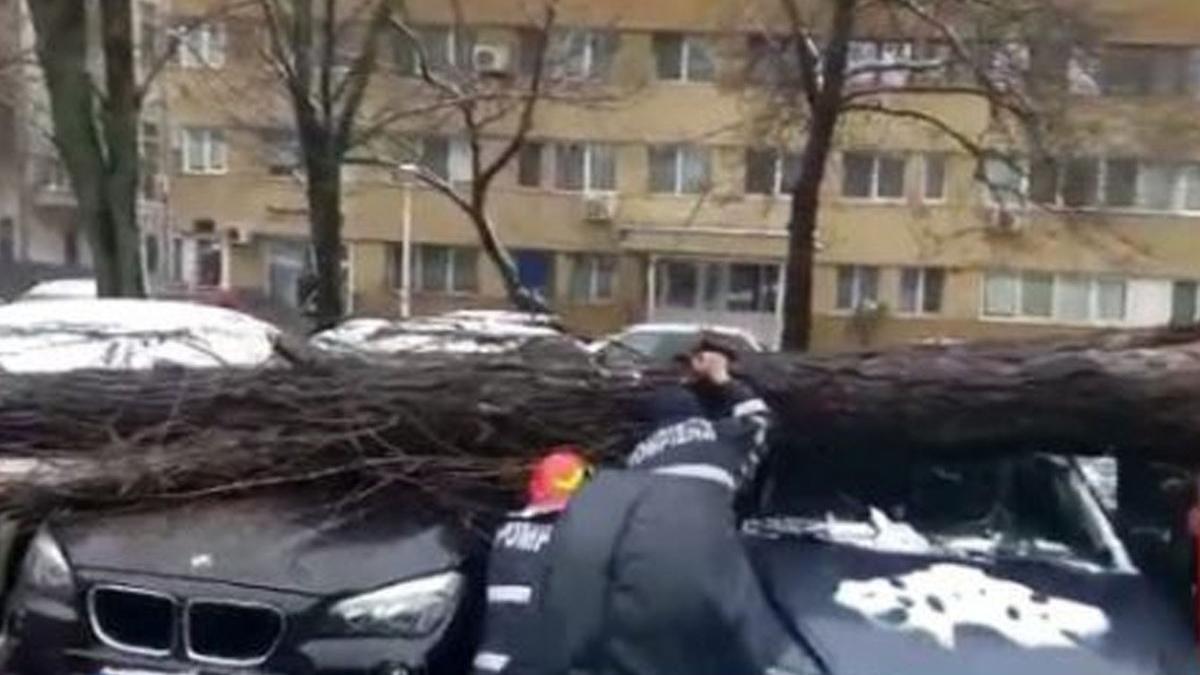 masini avariate copac vant puternic bucuresti