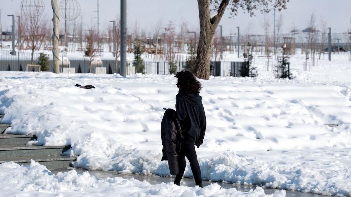 prognoza meteo 11 martie 2021 cod galben ninsori
