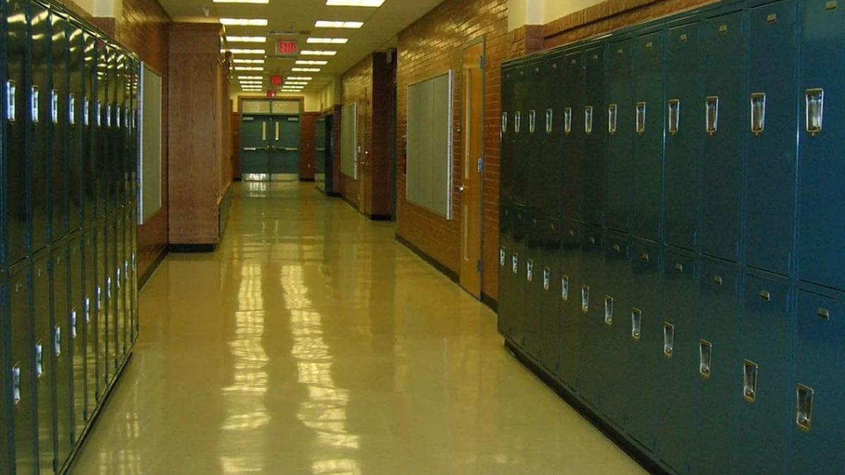 scandal liceul stefan procopiu vaslui