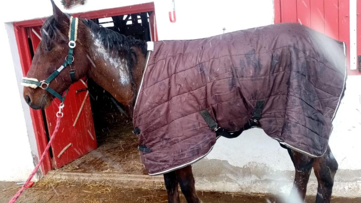 cal caruta incendiu afumati