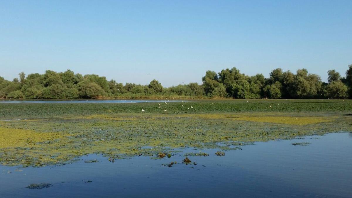 mecanism financiar iti delta dunarii cel mai mare proiect investitii romania