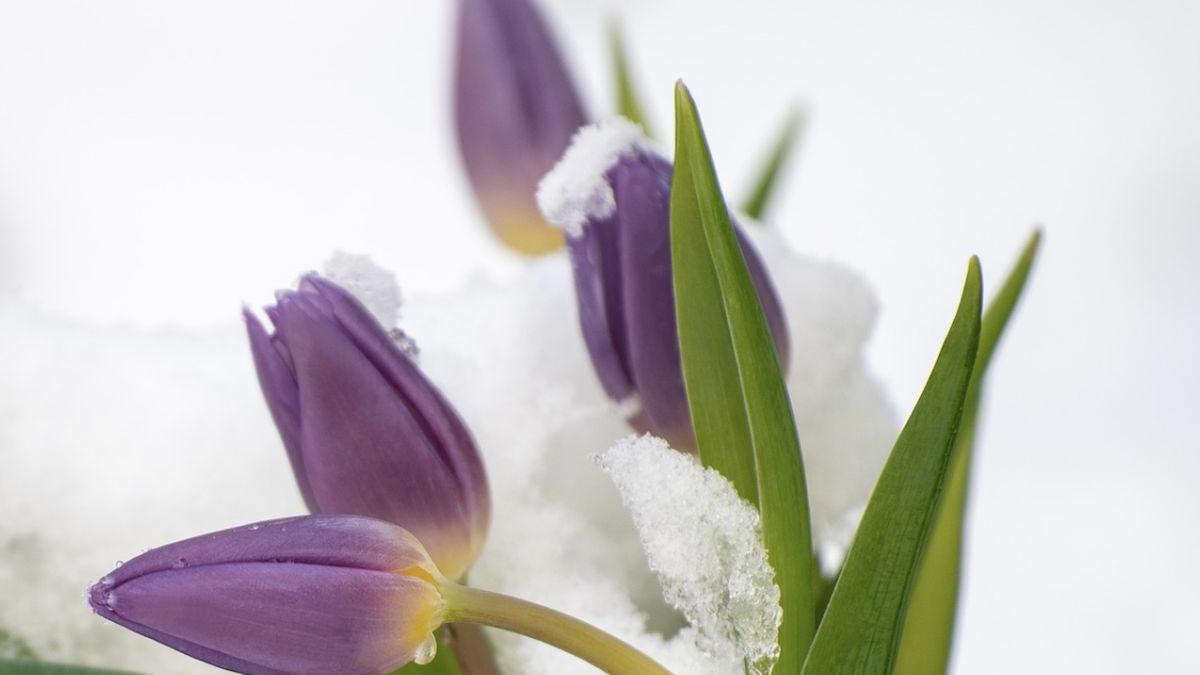 vremea prognoza meteo martie 2021