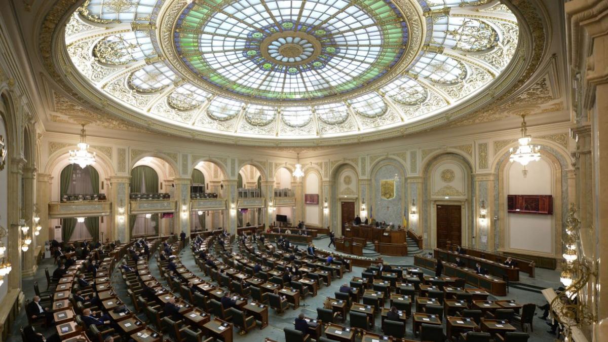 motiunea simpla impotriva ministrului economiei nasui psd senat