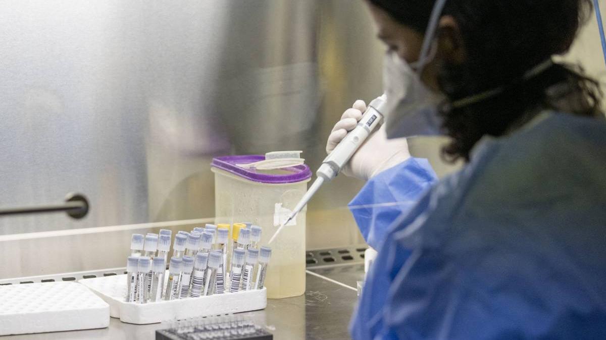 test covid 19 vaccinat raed arafat