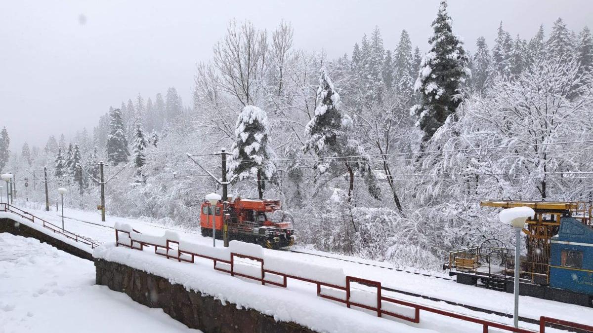 vreme rea bilant accidente trenuri copaci