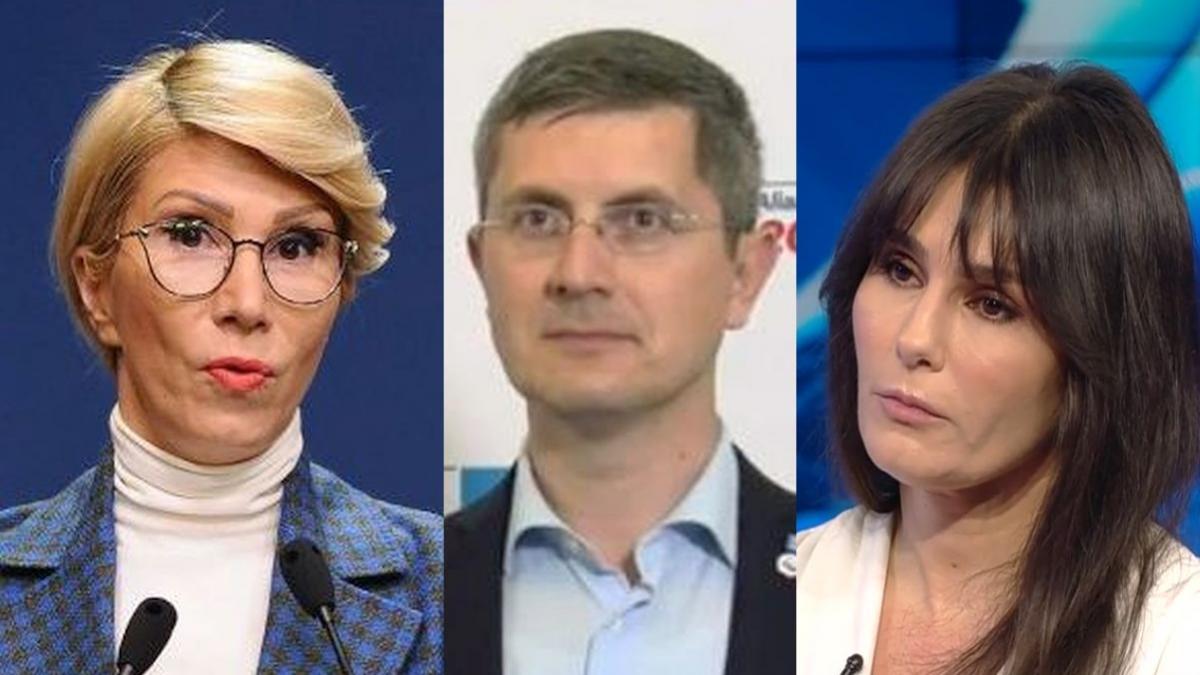 dana budeanu porecle politice barna turcan