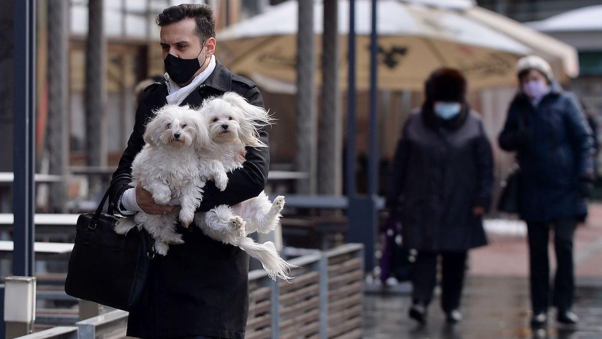 prognoza meteo 22 martie 2021 vreme rece