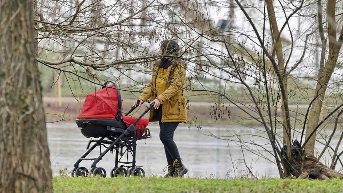 roman rapire bebelus spania