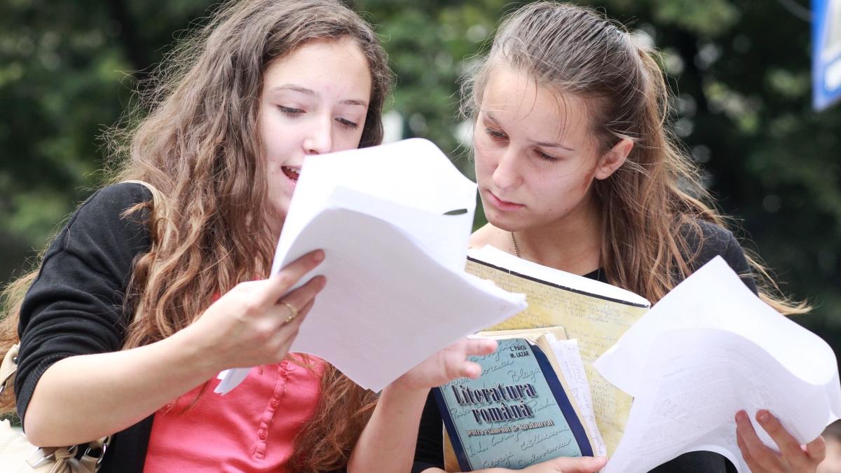 Subiecte simulare Bac 2021. Ce a picat la Limba și literatura română