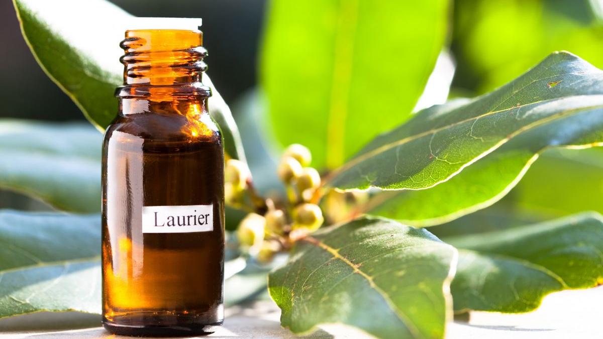 cum folosim corect uleiu esentiale aromaterapie