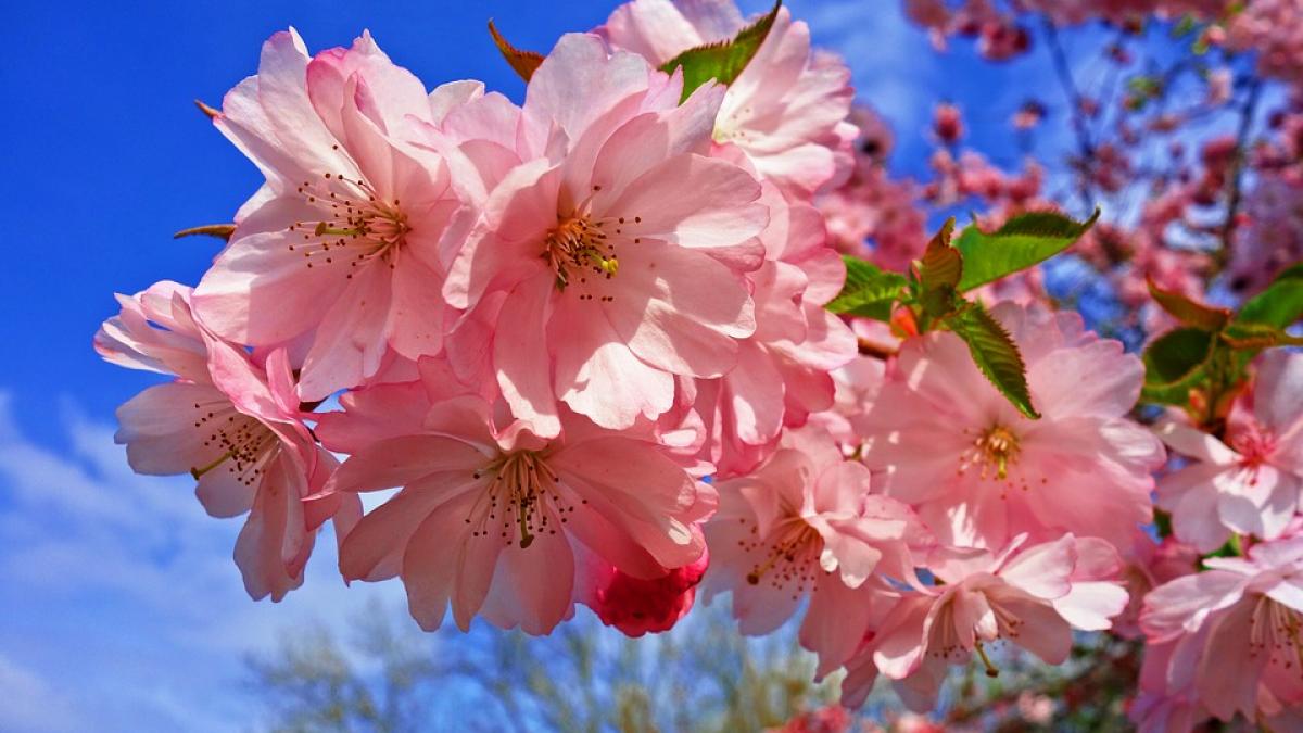 horoscop aprilie 2021