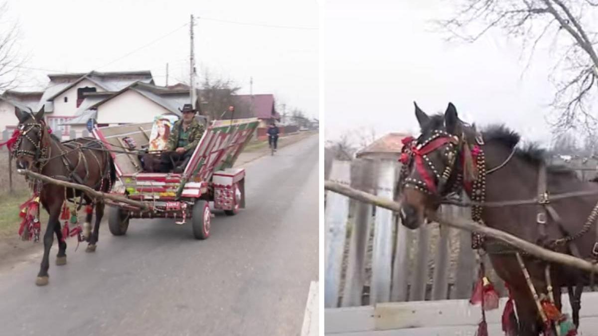 caruta tunata baragan claxon semnalizare