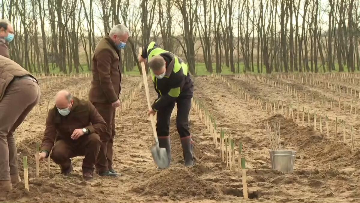 iohannis campanie reimpadurire dolj 1 5 miliarde euro